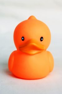 Rubber duck